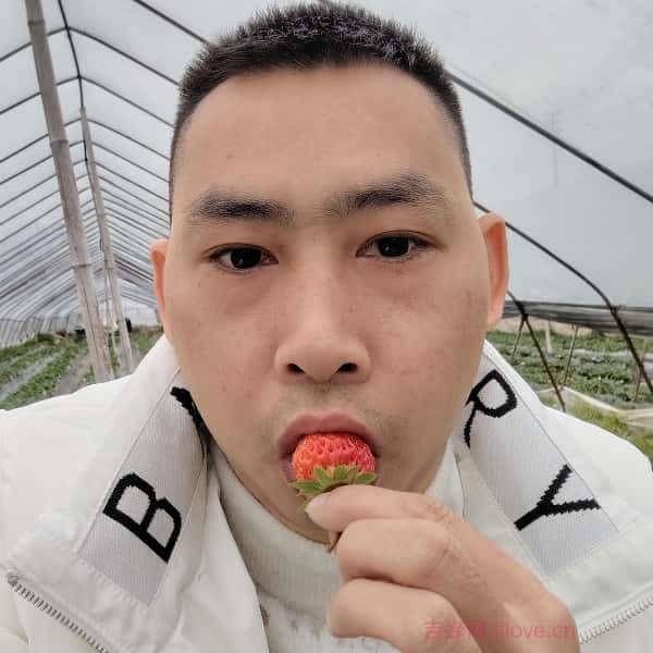 济宁征婚相亲网